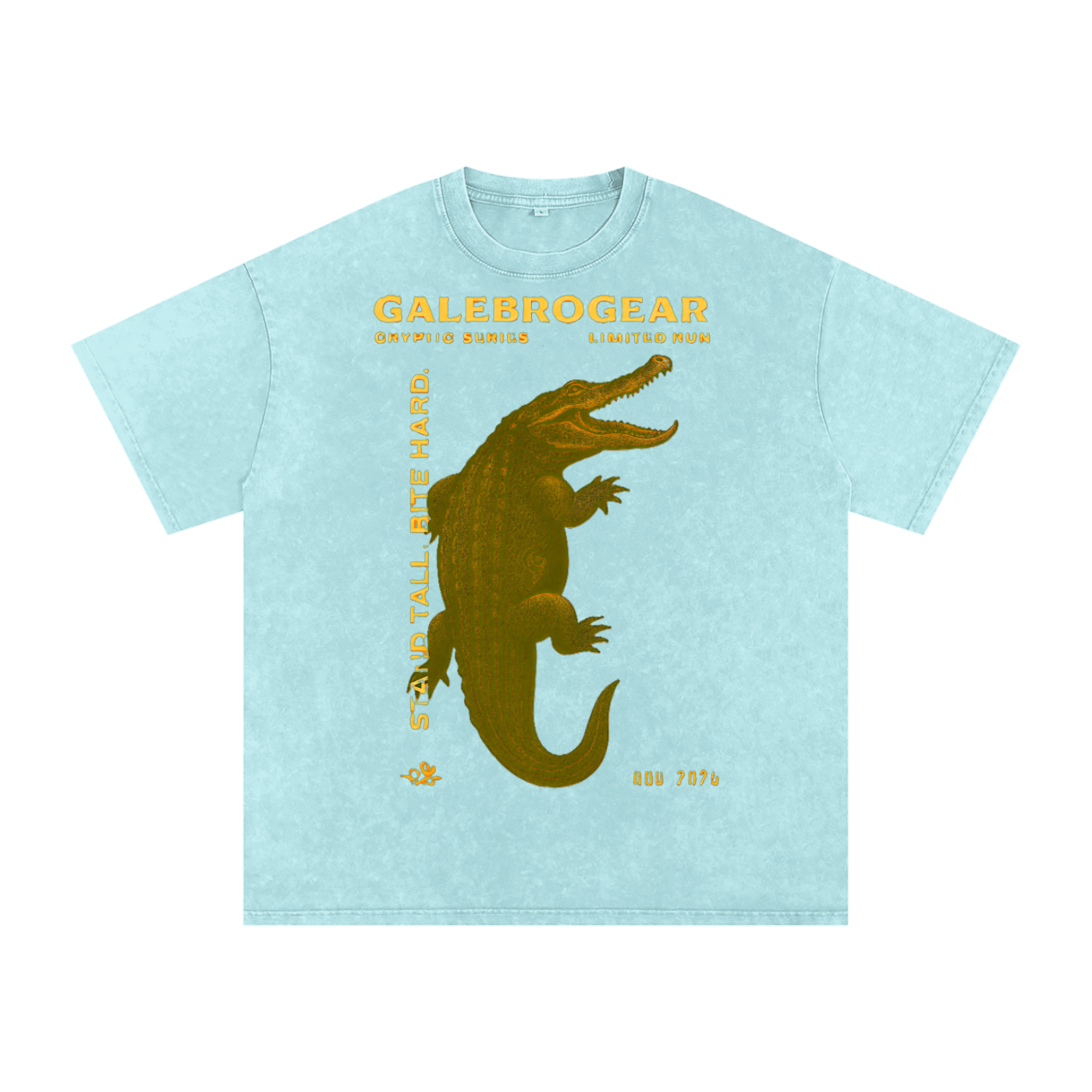 Snow Washed Oversized Cotton T-Shirt