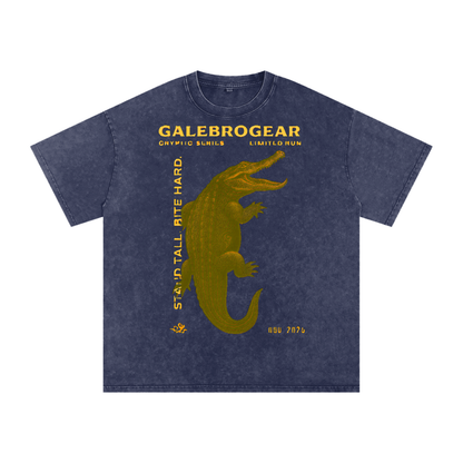 Snow Washed Oversized Cotton T-Shirt