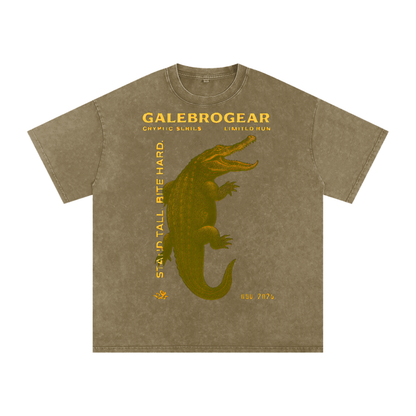 Snow Washed Oversized Cotton T-Shirt