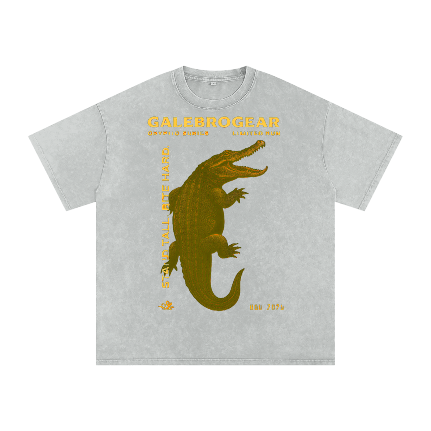 Snow Washed Oversized Cotton T-Shirt