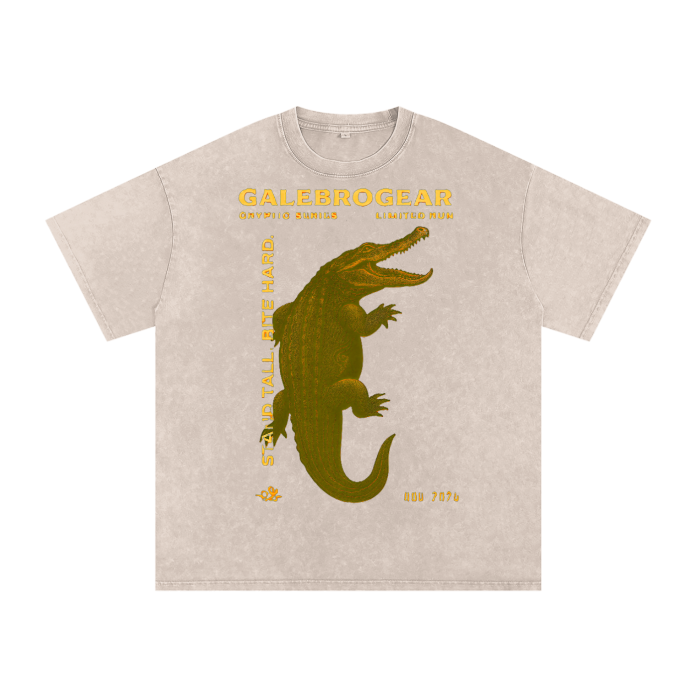 Snow Washed Oversized Cotton T-Shirt